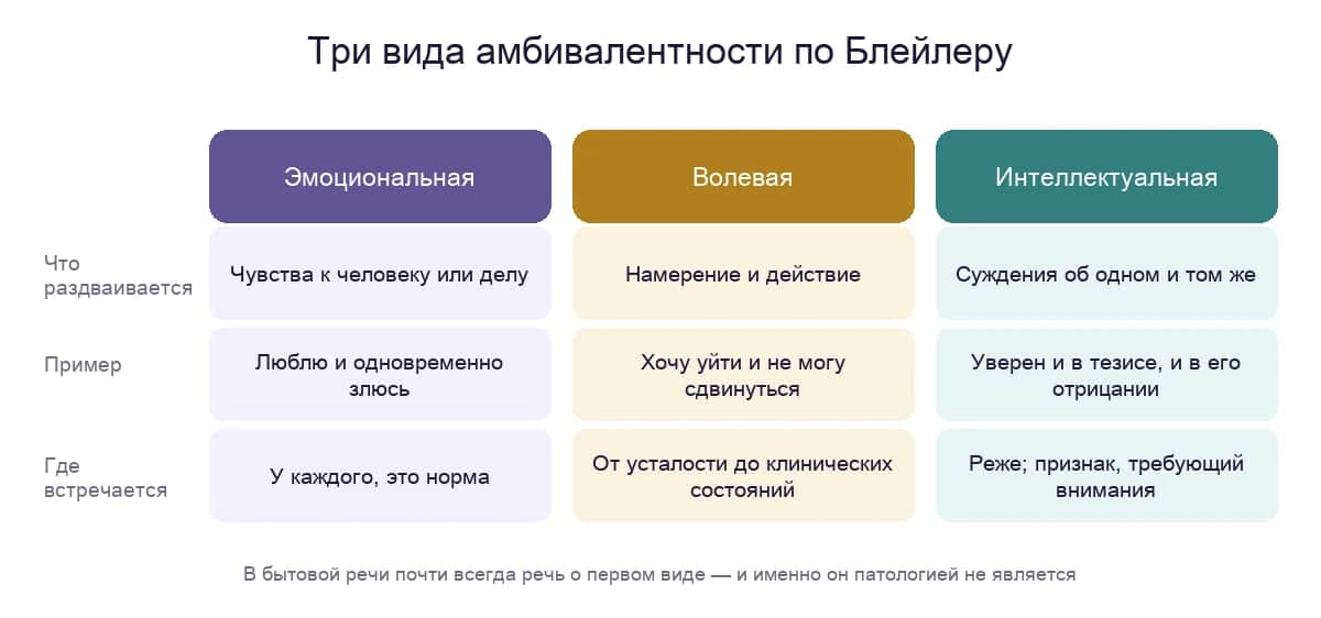 Три вида амбивалентности по Блейлеру: эмоциональная, волевая и интеллектуальная — что раздваивается, пример и где встречается