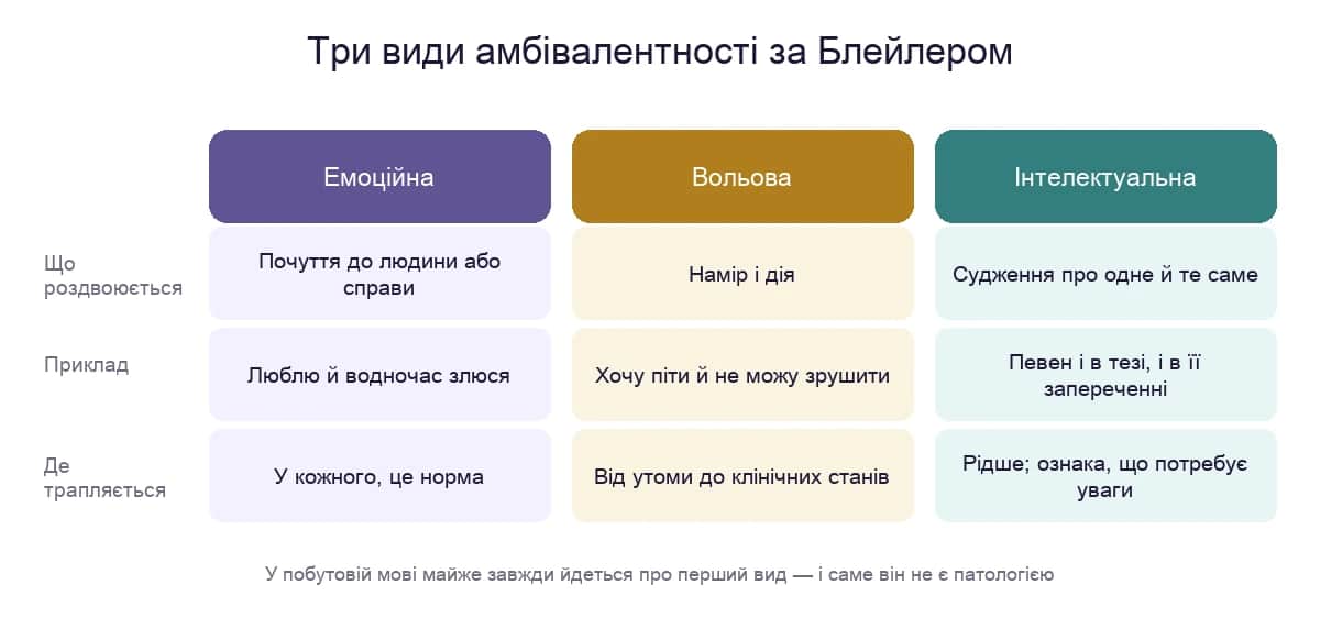 Три види амбівалентності за Блейлером: емоційна, вольова та інтелектуальна — що роздвоюється, приклад і де трапляється
