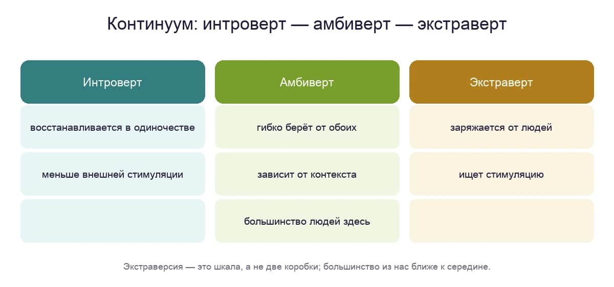 Континуум интроверсия — амбиверт — экстраверсия: большинство людей ближе к середине шкалы