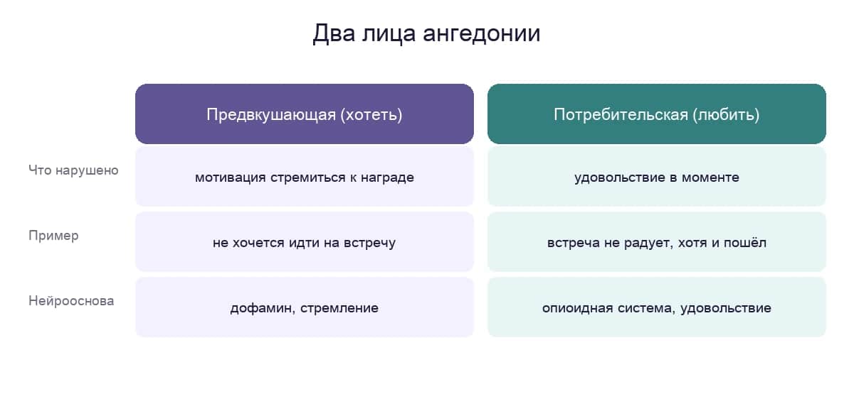 Предвкушающая и потребительская ангедония: что нарушено, пример и нейрооснова