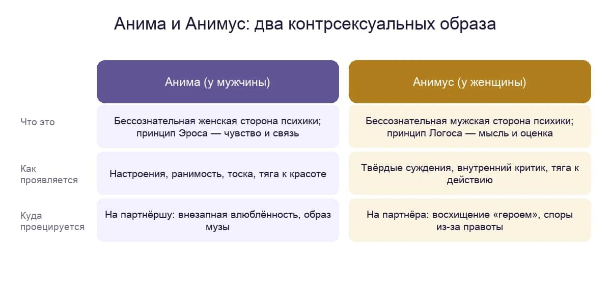 Анима и Анимус: два контрсексуальных образа Юнга — что это, как проявляется и куда проецируется