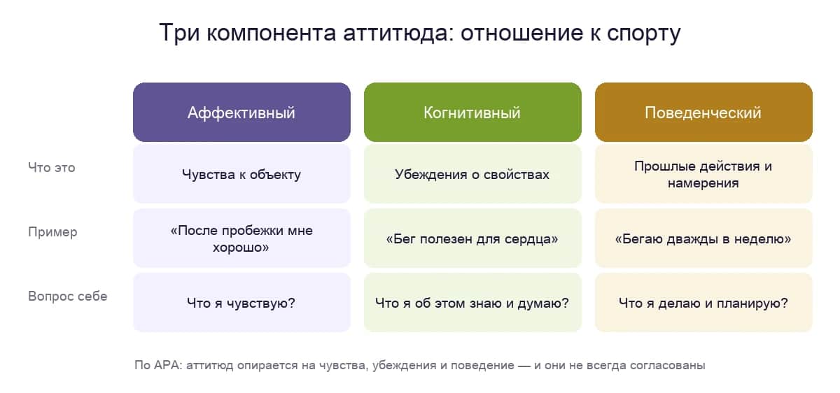 Трёхкомпонентная модель аттитюда: аффективный, когнитивный и поведенческий компоненты на примере отношения к спорту