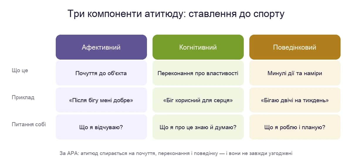 Трикомпонентна модель атитюду: афективний, когнітивний і поведінковий компоненти на прикладі ставлення до спорту