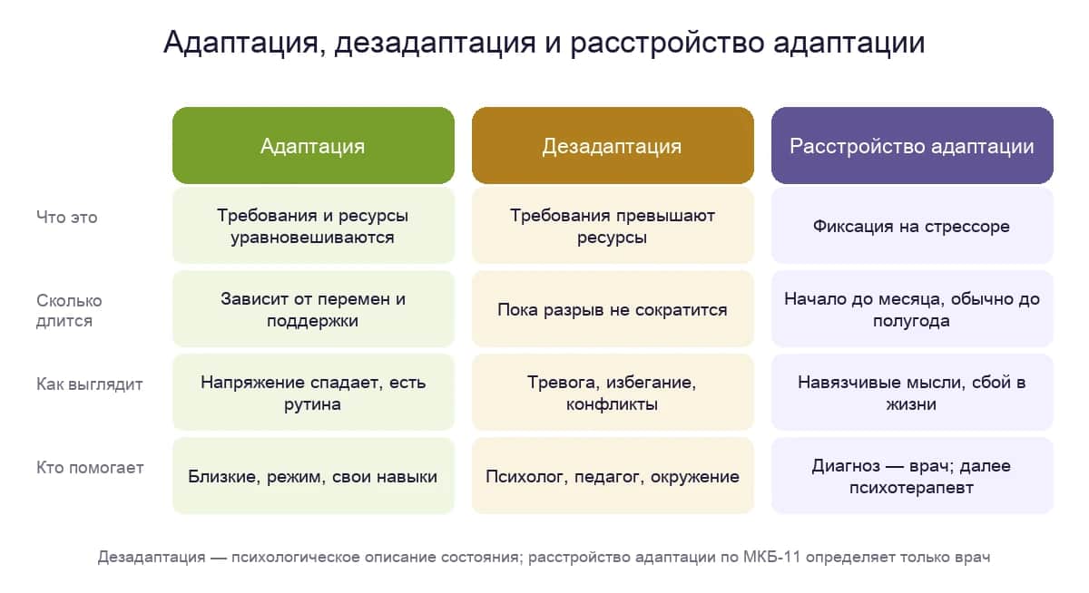 Адаптация, дезадаптация и расстройство адаптации: что происходит, сколько длится и кто помогает