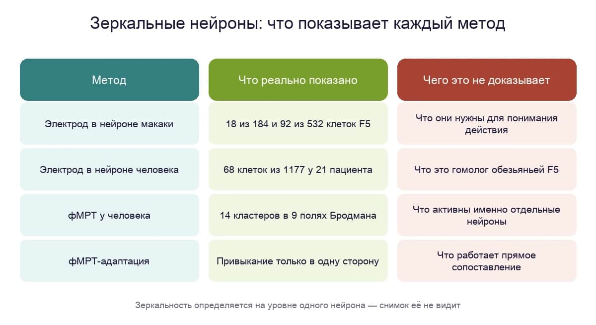 Что показывает о зеркальных нейронах каждый метод и чего не показывает ни один