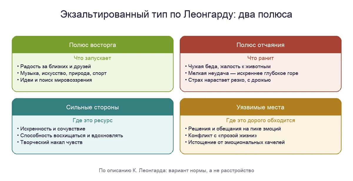 Экзальтированный тип по Леонгарду: полюс восторга, полюс отчаяния, сильные стороны и уязвимые места