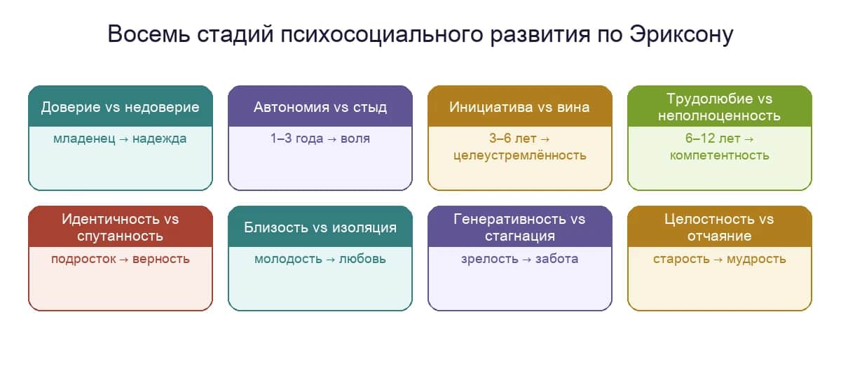 Восемь стадий психосоциального развития по Эриксону: конфликт, возраст и добродетель каждой стадии