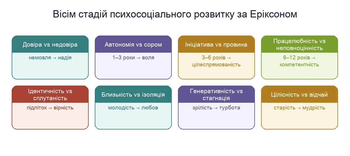 Вісім стадій психосоціального розвитку за Еріксоном: конфлікт, вік і чеснота кожної стадії