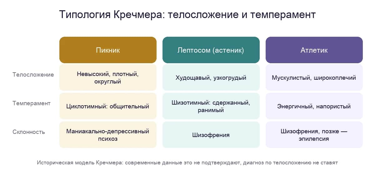 Типология Кречмера: пикник, лептосом и атлетик — телосложение, темперамент и склонность к психозу по Кречмеру