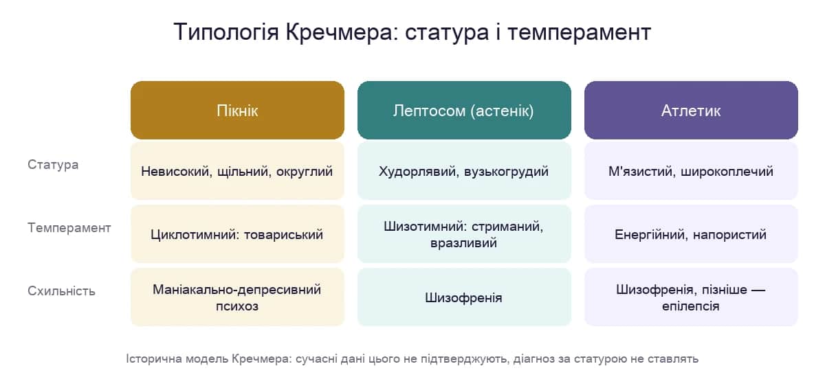 Типологія Кречмера: пікнік, лептосом і атлетик — статура, темперамент і схильність до психозу за Кречмером