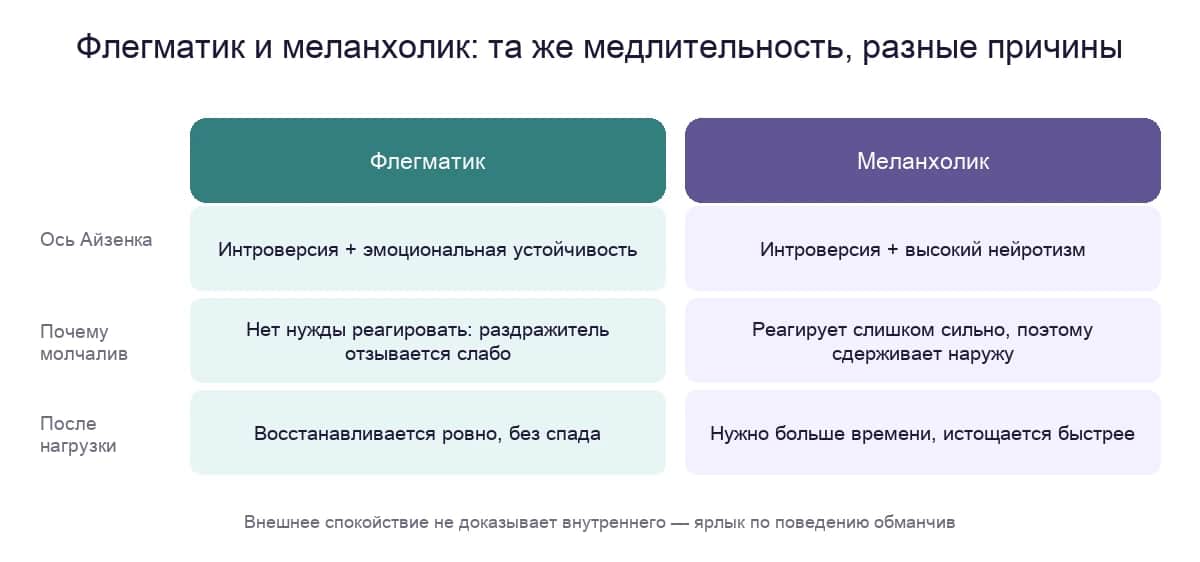 Флегматик и меланхолик: та же медлительность, разные причины — оси Айзенка, реакция и восстановление