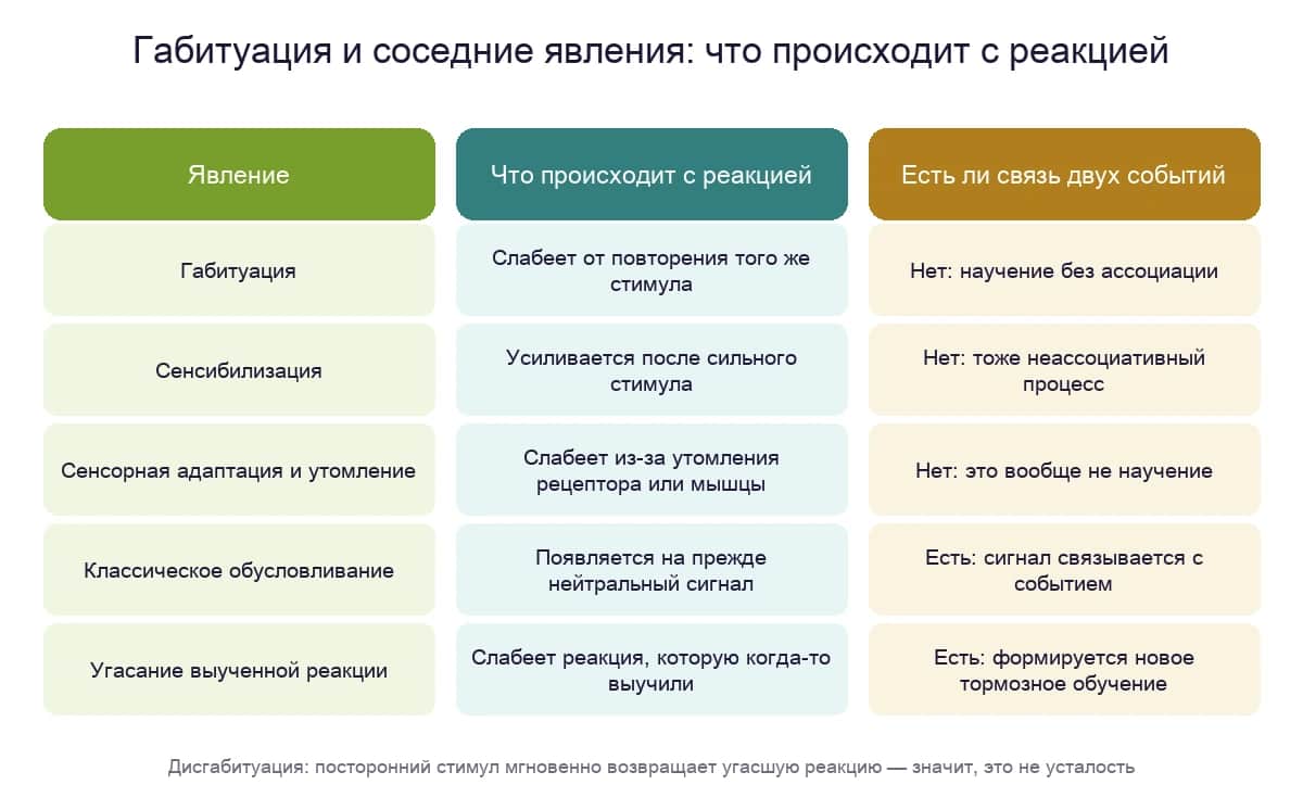 Габитуация рядом с сенсибилизацией, обусловливанием и утомлением: что происходит с реакцией