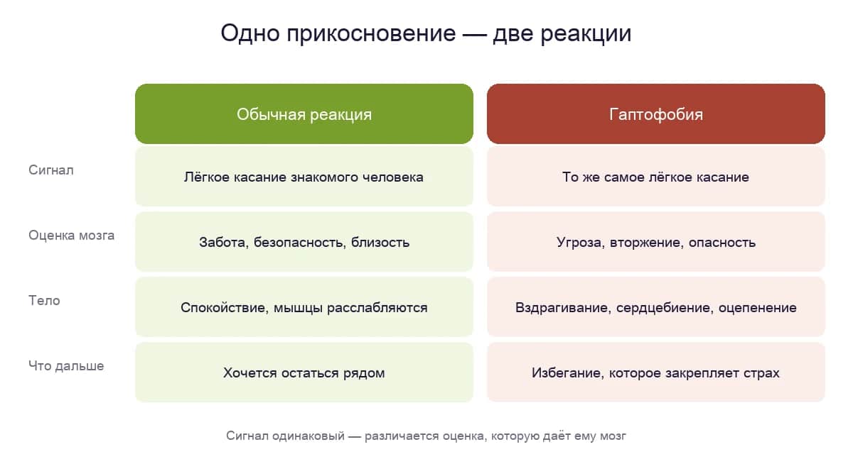 Одно прикосновение — две реакции: как мозг оценивает то же касание обычно и при гаптофобии