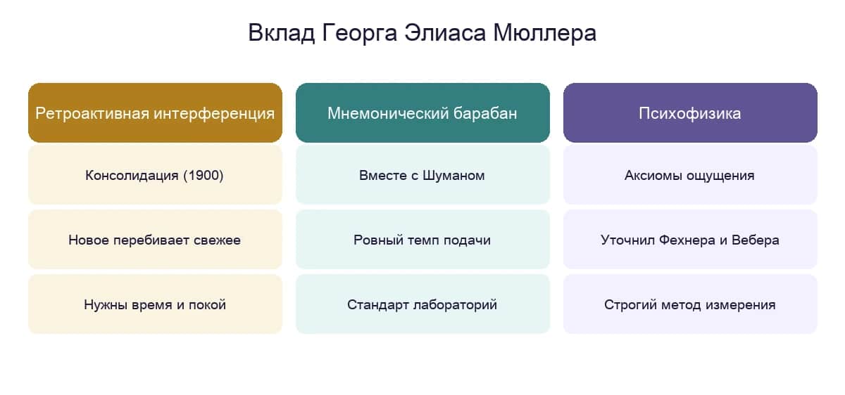 Вклад Георга Элиаса Мюллера: ретроактивная интерференция и консолидация, мнемонический барабан, психофизика