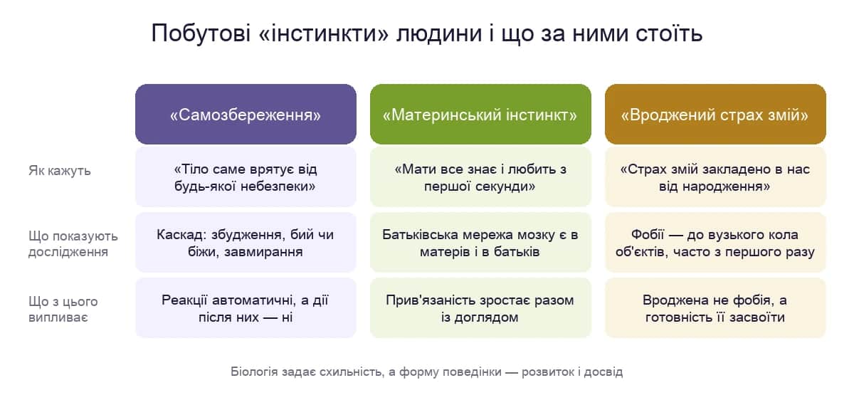 Побутові «інстинкти» людини і що за ними стоїть: самозбереження, материнський інстинкт і страх змій