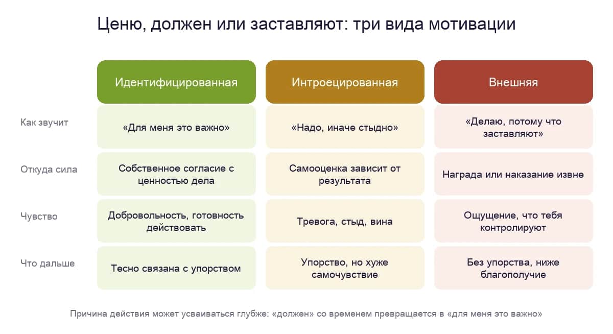 Три вида мотивации по теории самодетерминации: идентифицированная, интроецированная и внешняя — как звучит, откуда сила, какое чувство и что дальше