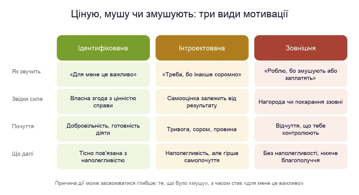 Три види мотивації за теорією самодетермінації: ідентифікована, інтроектована і зовнішня — як звучать, звідки сила, яке почуття і що буде далі