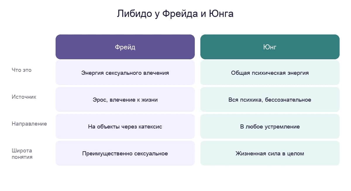Сравнение: либидо у Фрейда и у Юнга — что это, источник, направление, широта понятия