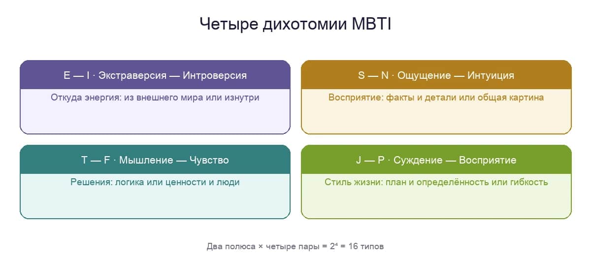 Четыре дихотомии MBTI: E–I, S–N, T–F, J–P — что измеряет каждая ось