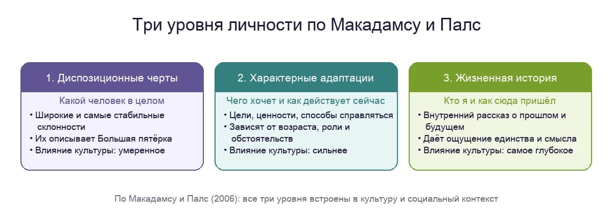 Три уровня личности по Макадамсу и Палс: черты, характерные адаптации и жизненная история