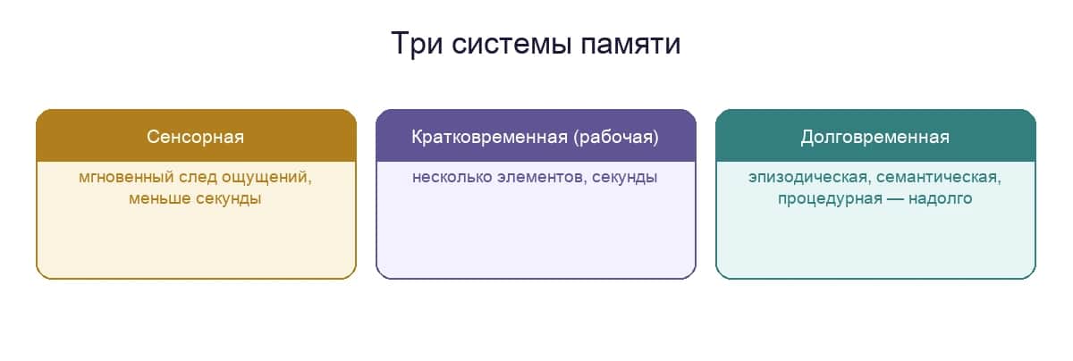 Три системы памяти: сенсорная, кратковременная (рабочая) и долговременная