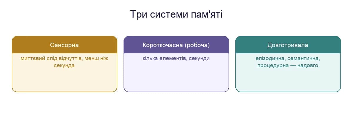Три системи пам'яті: сенсорна, короткочасна (робоча) і довготривала