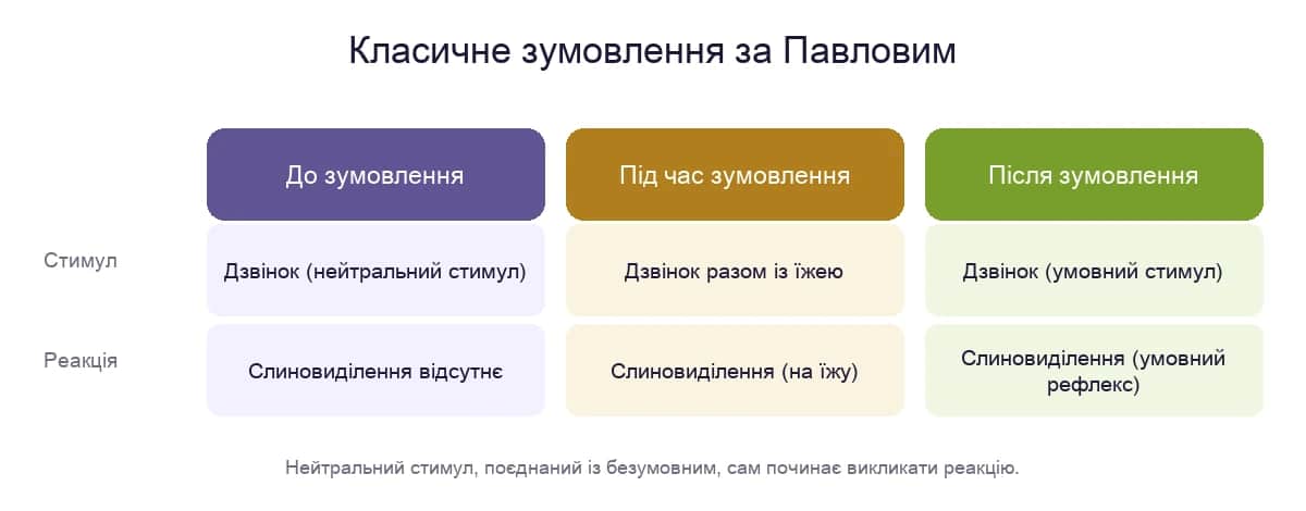 Схема класичного зумовлення Павлова: безумовний і умовний рефлекс