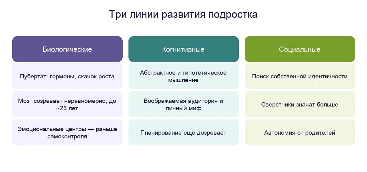 Три линии развития подростка: биологическая, когнитивная и социальная