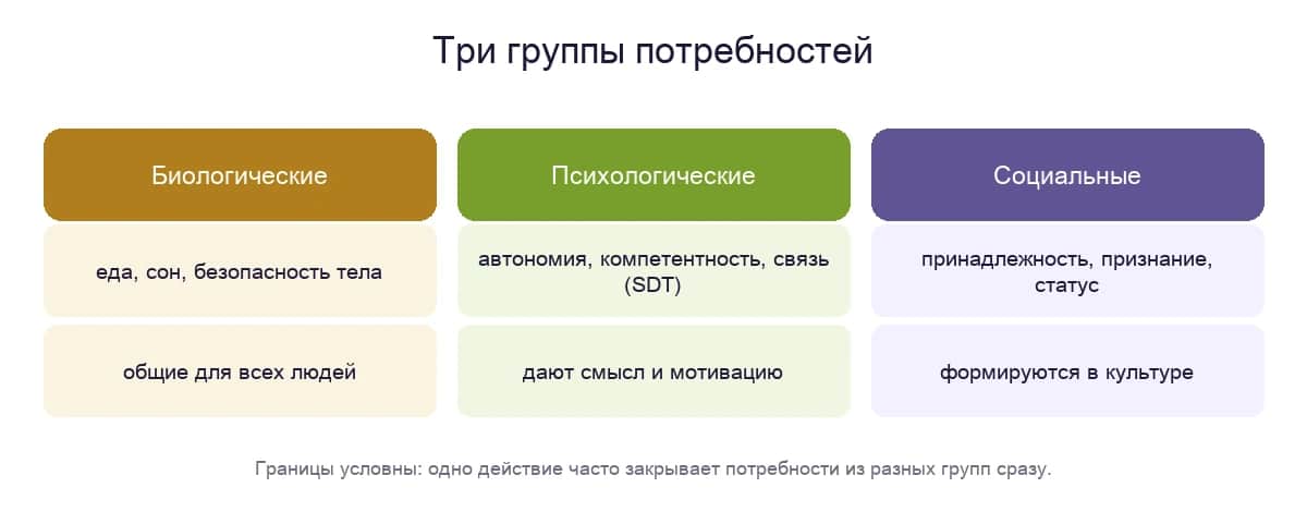Три группы потребностей — биологические, психологические и социальные