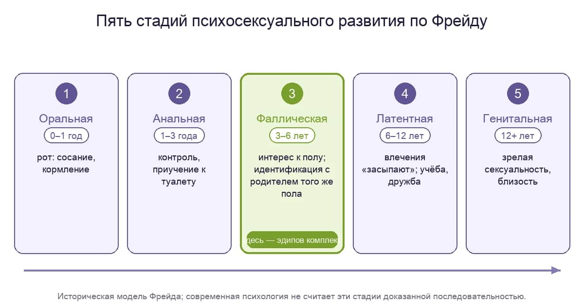 Пять стадий психосексуального развития по Фрейду; эдипов комплекс приходится на фаллическую стадию