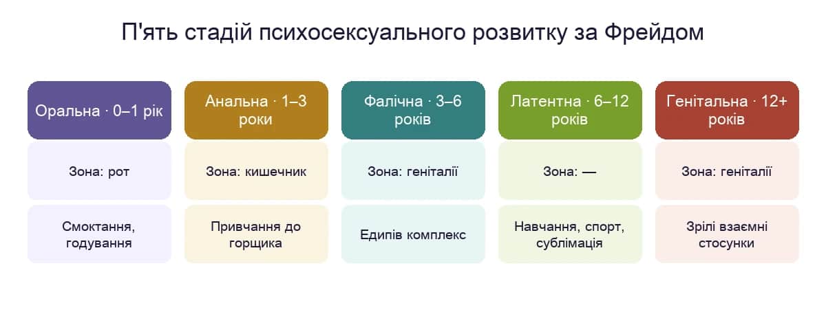 П'ять стадій психосексуального розвитку за Фрейдом: оральна, анальна, фалічна, латентна, генітальна — вік і зона кожної