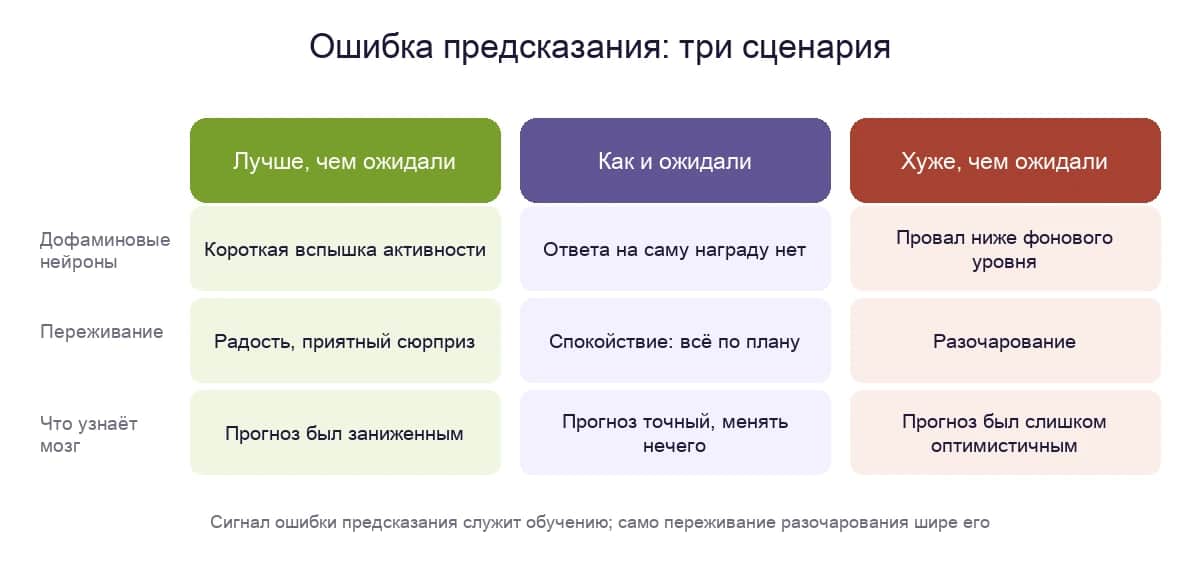 Ошибка предсказания: что происходит, когда итог лучше, таким же или хуже ожидаемого