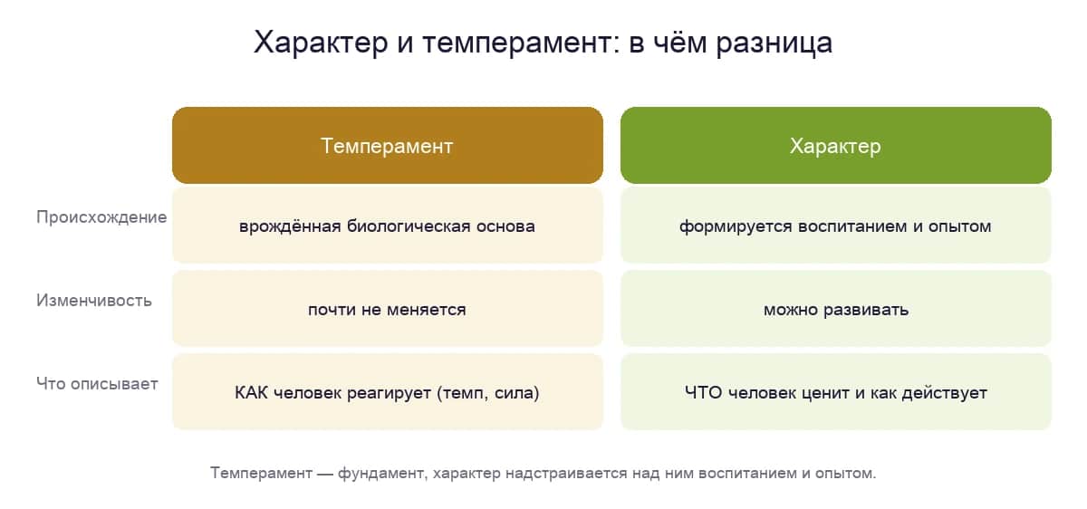 Характер и темперамент: происхождение, изменчивость и что описывает каждое понятие