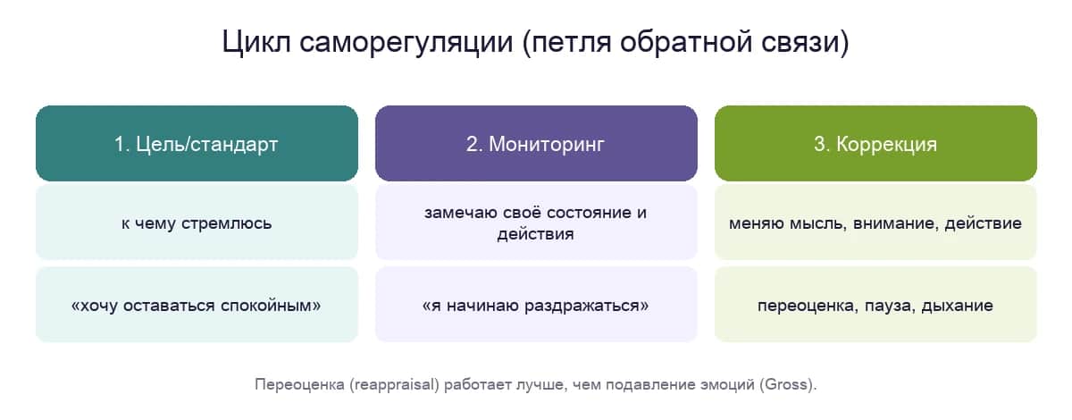 Цикл саморегуляции: цель, мониторинг состояния и коррекция мысли, внимания и действия