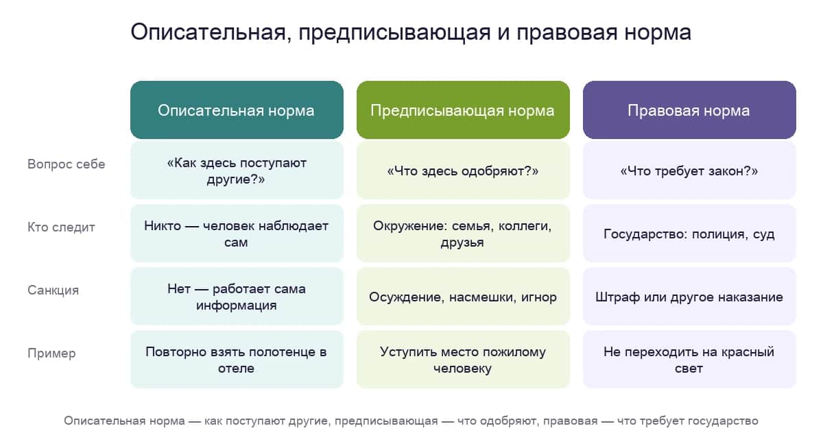 Схема: описательная, предписывающая и правовая норма — вопрос, контроль, санкция, пример