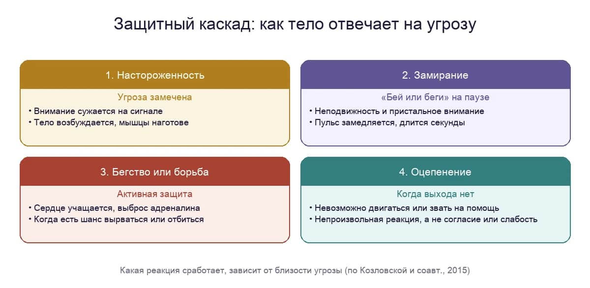 Защитный каскад: настороженность, замирание, бегство или борьба и оцепенение