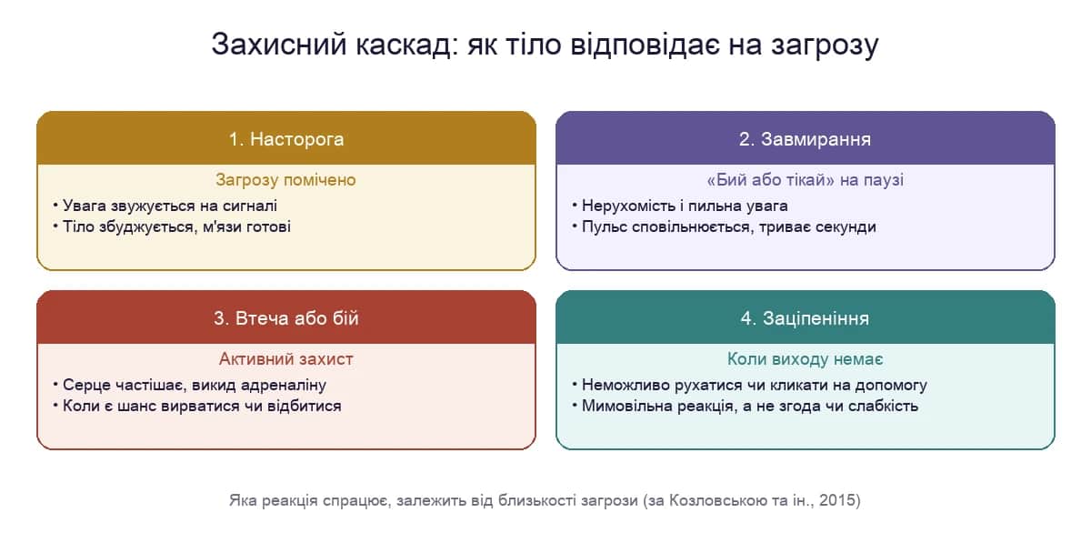 Захисний каскад: насторога, завмирання, втеча або бій і заціпеніння