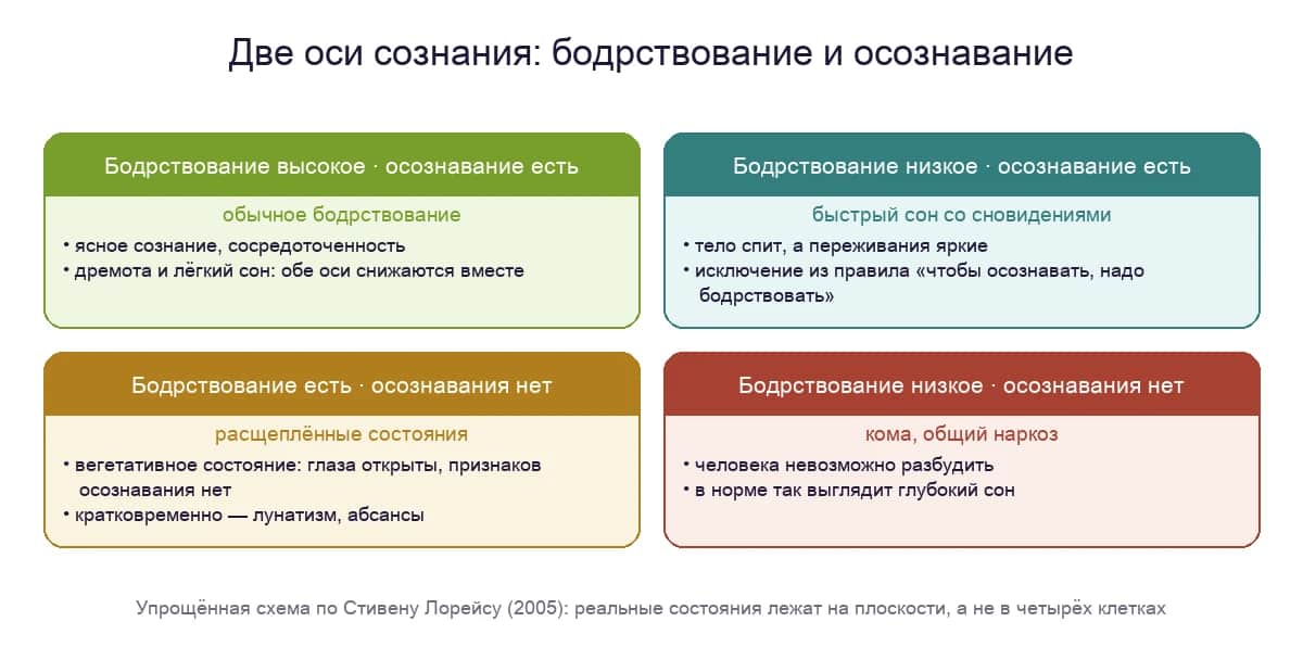 Две оси сознания: бодрствование и осознавание — ясное сознание, сновидения, вегетативное состояние, кома и наркоз