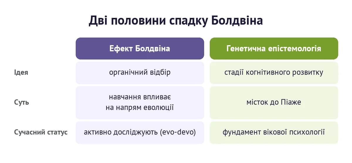 Дві половини спадку Болдвіна: ефект Болдвіна в еволюційній біології та генетична епістемологія як місток до Піаже