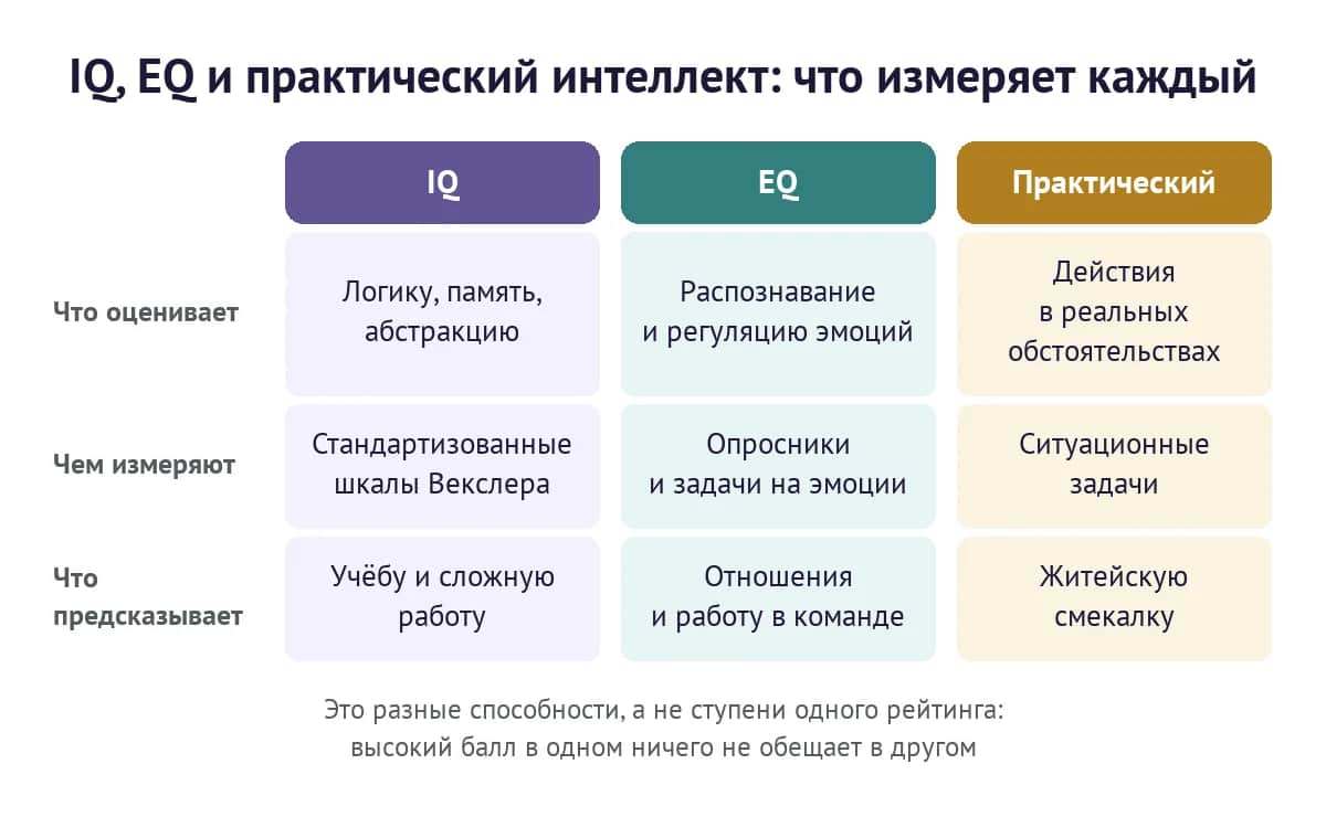 Сравнение IQ, EQ и практического интеллекта: что оценивает, чем измеряют и что предсказывает каждый