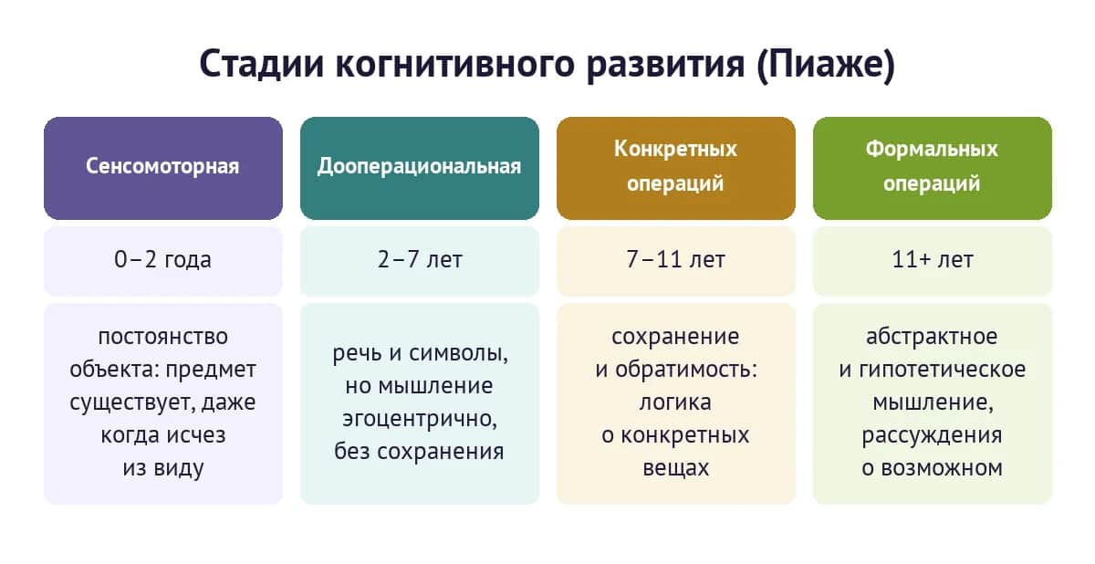 Четыре стадии когнитивного развития по Пиаже: сенсомоторная, дооперациональная, конкретных операций, формальных операций