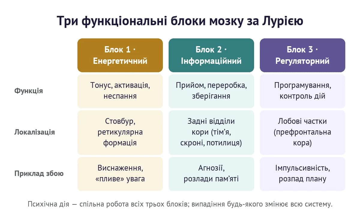 Три функціональні блоки мозку за Лурією: енергетичний, інформаційний і регуляторний
