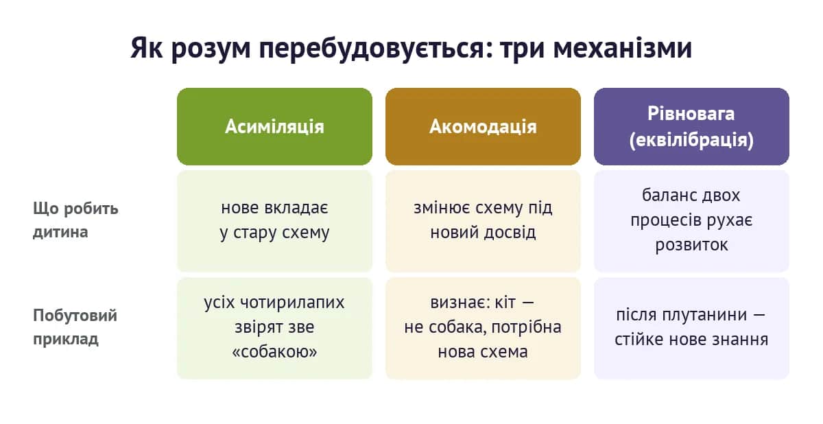 Три механізми адаптації за Піаже: асиміляція, акомодація, рівновага