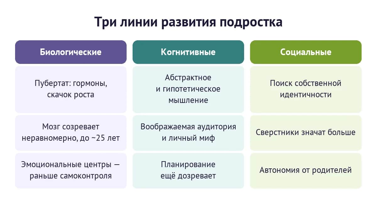 Три линии развития подростка: биологическая, когнитивная и социальная