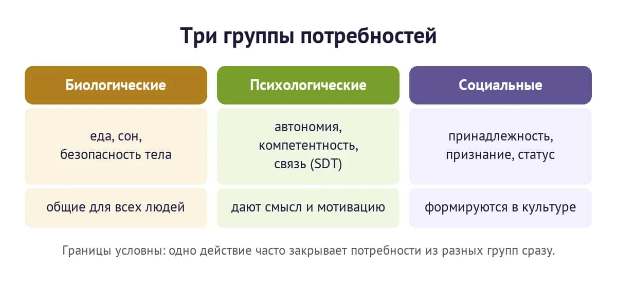Три группы потребностей — биологические, психологические и социальные