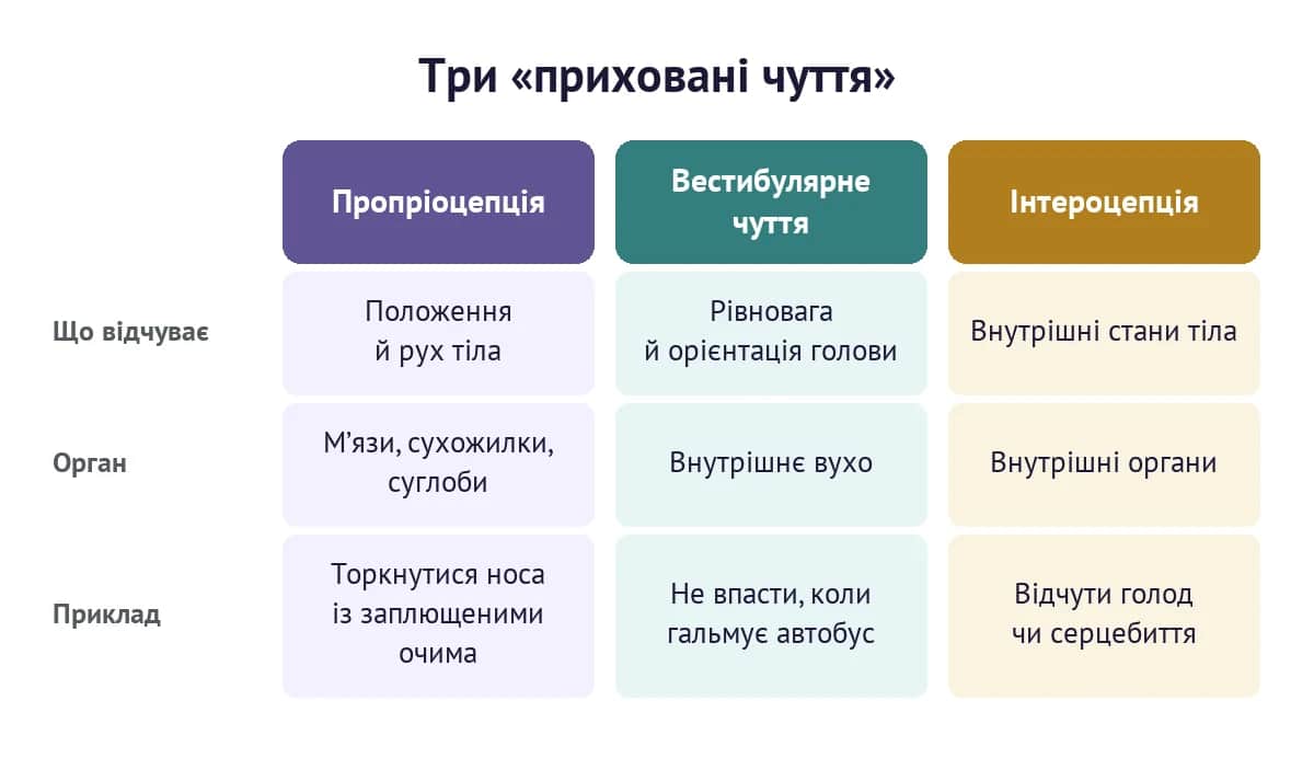 Три «приховані чуття»: пропріоцепція, вестибулярне чуття та інтероцепція — що відчуває кожне, які органи задіяні та приклади