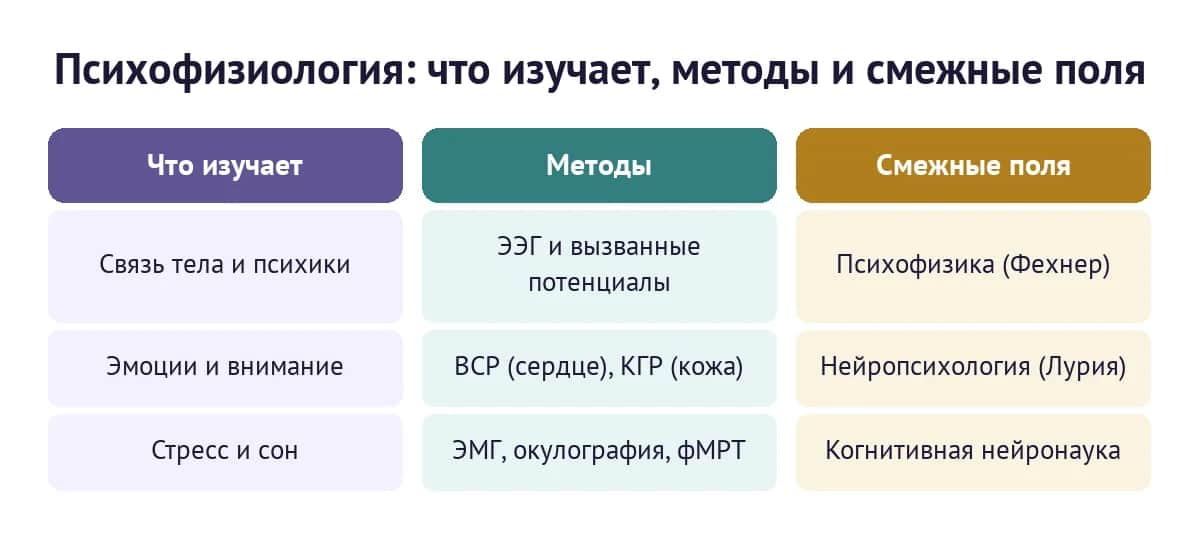 Психофизиология: что изучает, какими методами и смежные поля