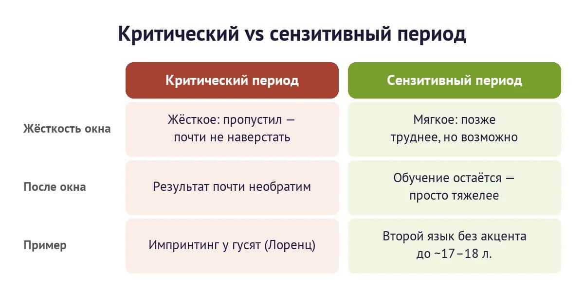 Критический период как жёсткое окно против сензитивного как мягкого окна развития
