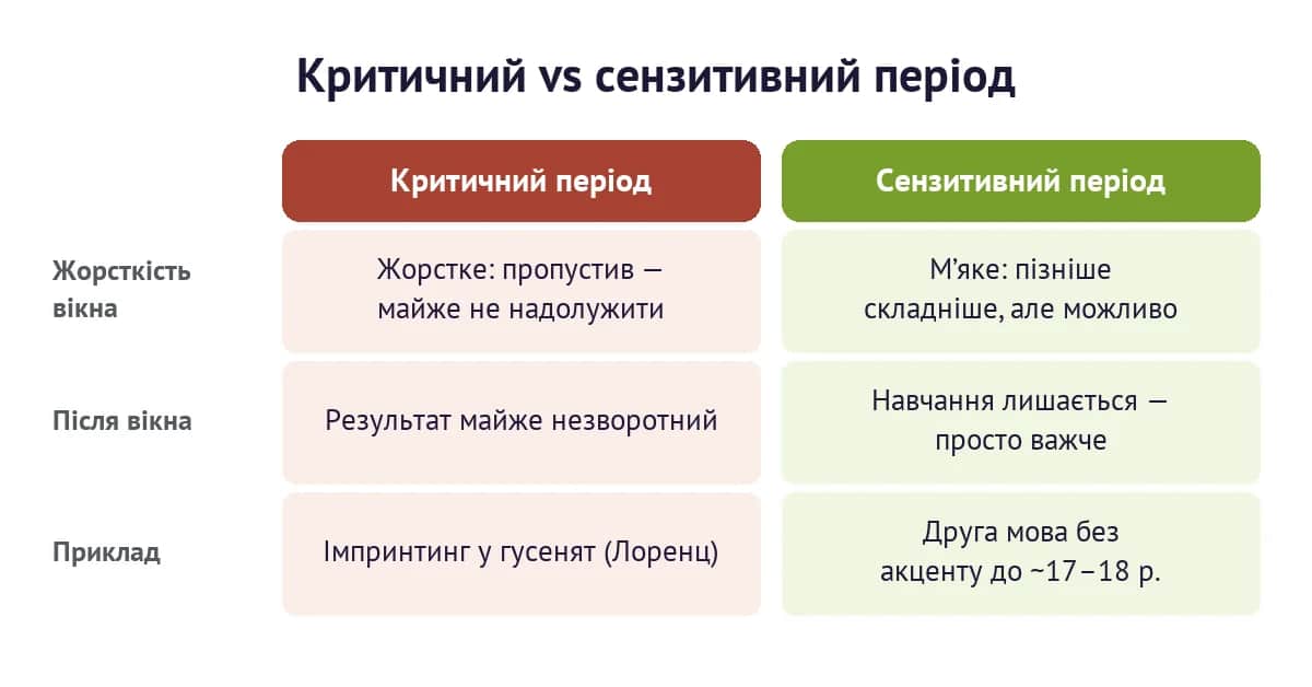Критичний період як жорстке вікно проти сензитивного як м'якого вікна розвитку