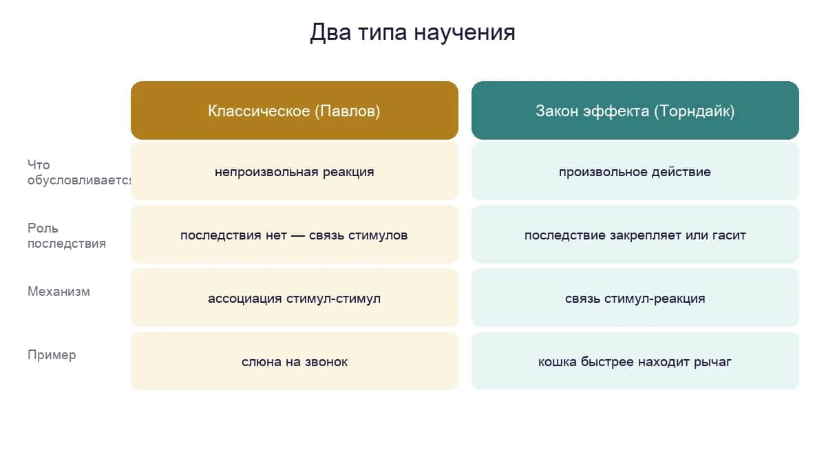 Сравнение классического обусловливания Павлова и закона эффекта Торндайка